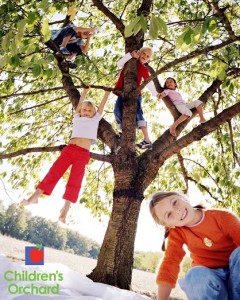 Children's Orchard five little kids climbing a tree wearing red pants, orange shirt, jeans, pink shirt, colorful combinations